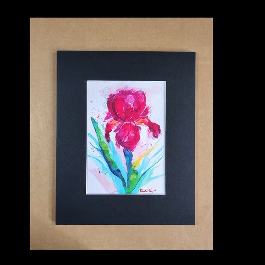 Watercolor Print "Red Iris"